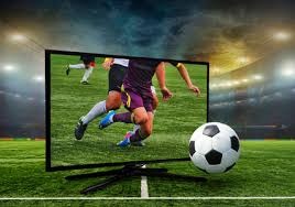 DO：帕利尼亚今天将在德国接受热刺的体检