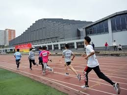 弗兰克：克罗地亚队成功的原因是团结；我曾看着魔笛比赛长大